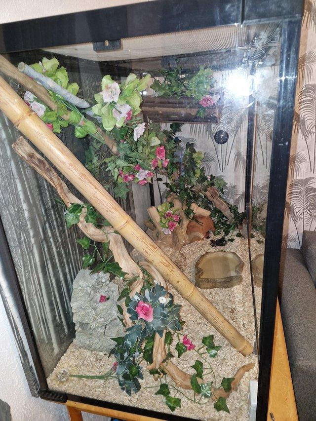 Preview of the first image of Large Glass Vivarium with accessories!.
