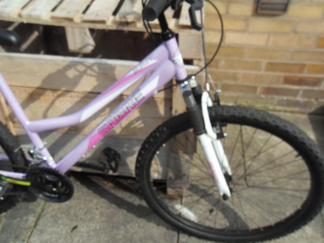  Ladies/girls bicycle has 18 gears - £29