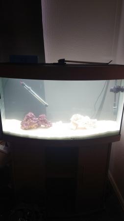 Image 6 of Jewul vision 180L tank and stand
