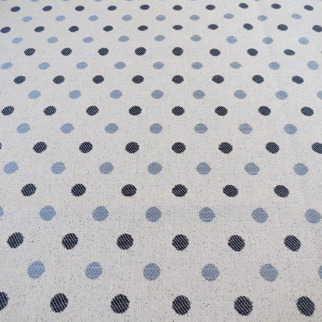 Preview of the first image of Fabric Remnant Blue Spot Design.