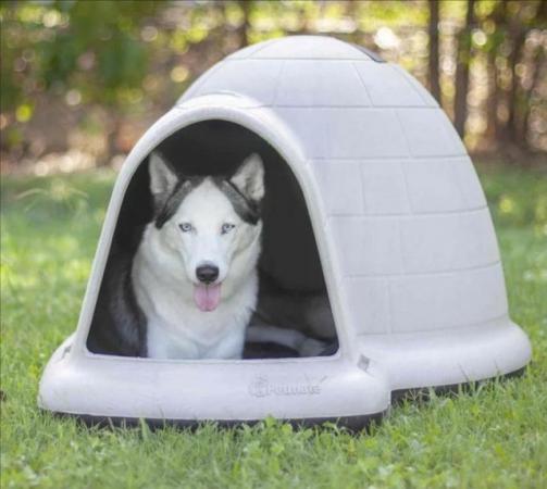 Image 4 of Large Dog Kennel. Indigo Igloo Dog Kennel XL. Delivery
