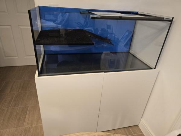 Image 4 of Terrapin/Fish Tank For Sale - Pick up Only