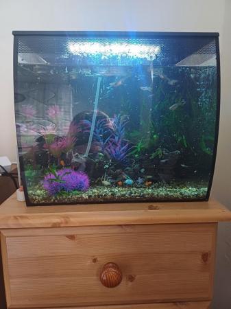Image 1 of Small tropical fish tank full set up