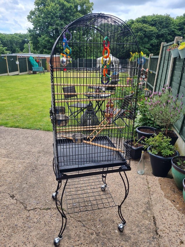 Preview of the first image of Large bird cage for cockatiels or parrots.