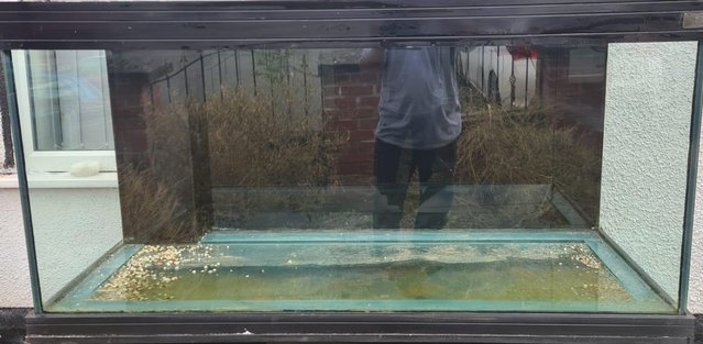 Image 3 of Large fish tank with stand