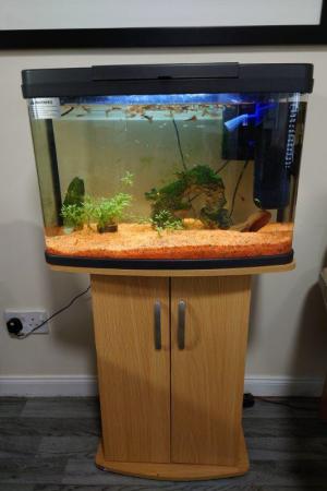 Image 3 of Tropical Fish Tank with Fish