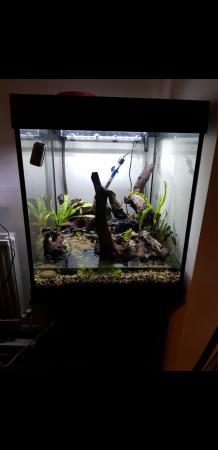 Image 5 of Large fish tank with stand