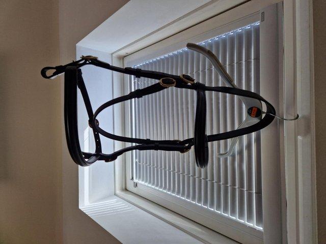 Preview of the first image of In Hand Bridle for Sale- cob size.