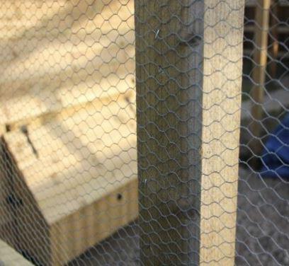 Image 2 of Galvanised Wire Mesh Netting chicken Cage