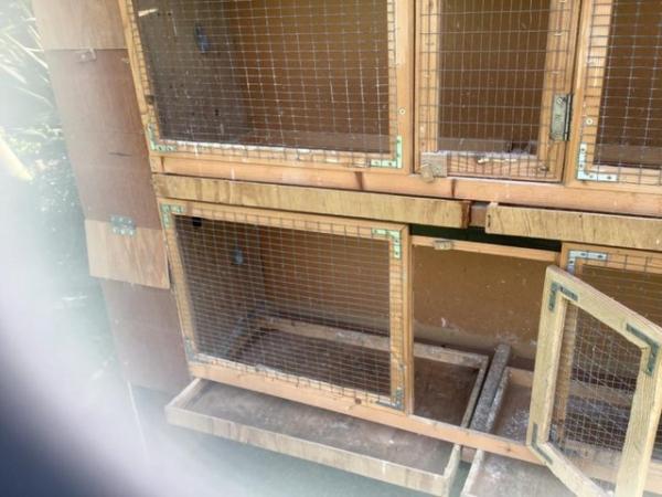 Image 5 of Double breeding cage for birds or pets.