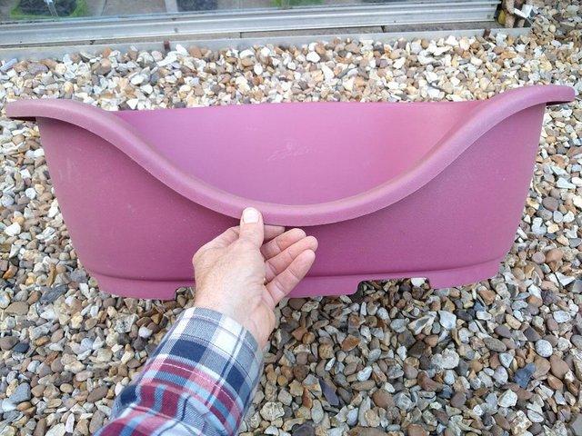 Preview of the first image of Medium purple plasic dog bed by PERLA.