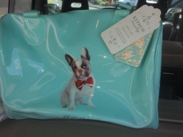 Image 1 of Pug cool bag pug mugs French Bulldog bag