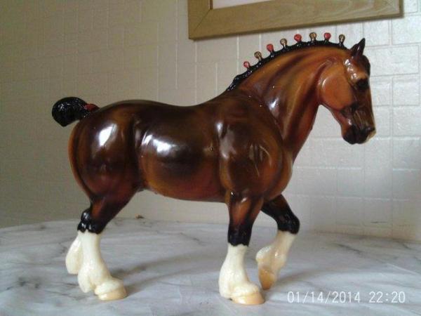 Image 1 of Beyers dark bay Clydesdale stallion