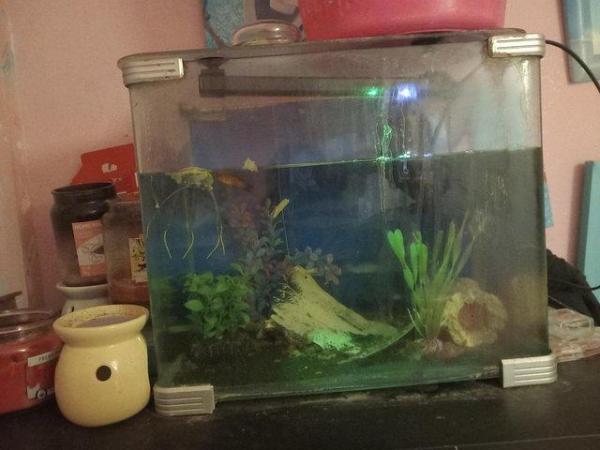 Image 1 of Fish tank with accessories for sale
