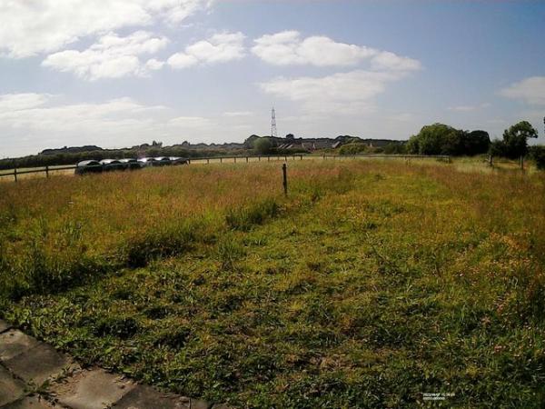 Image 7 of Stables on a Nine Acre Field available to Rent in Hawarden