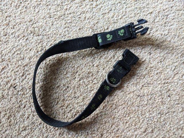 Preview of the first image of Collar for Puppies or small dog - adjustable.