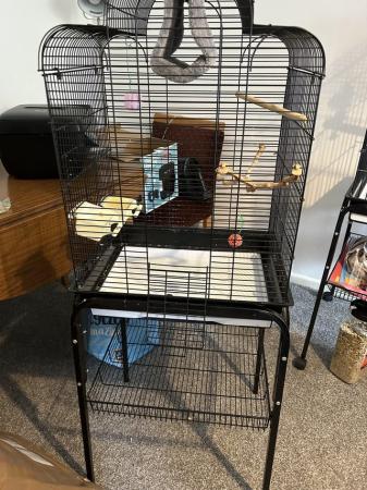 Image 4 of Black birdcage on stand including accessories