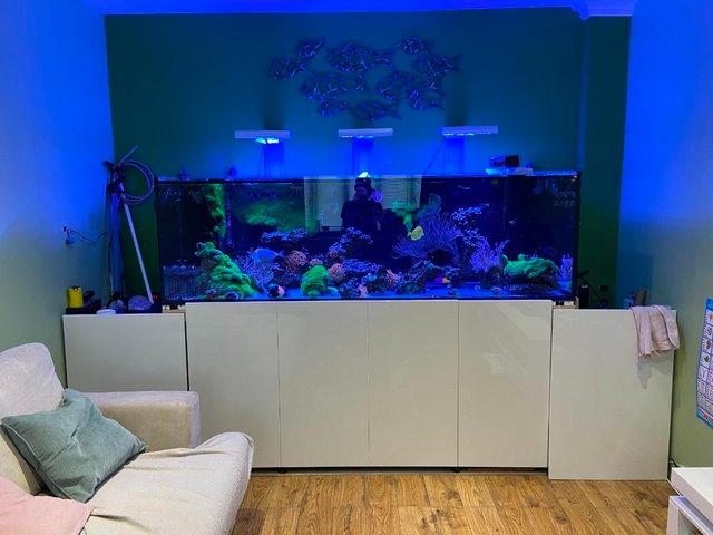 Preview of the first image of Salt Water Reef Tank System Full Set Up.