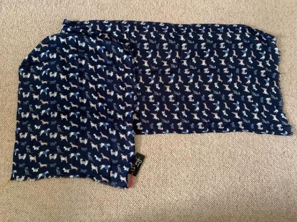 Image 1 of Peony Accessories Scarf 100% Soft Viscose Navy Dogs Print 