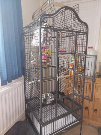 Image 4 of Yaheetech Rolling African grey cage. Less than a month old