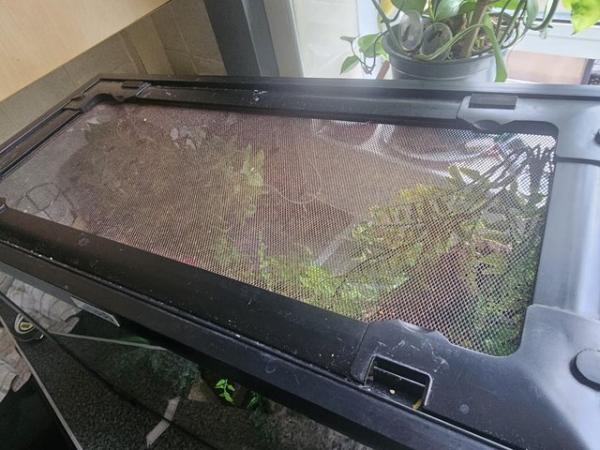 Image 4 of Komodo terrarium/ vivarium reptile