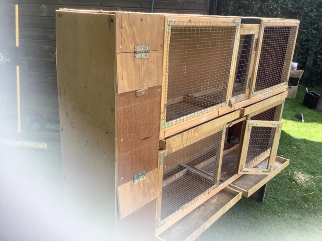 Preview of the first image of Parakeet breeding cages, built in nest boxes.