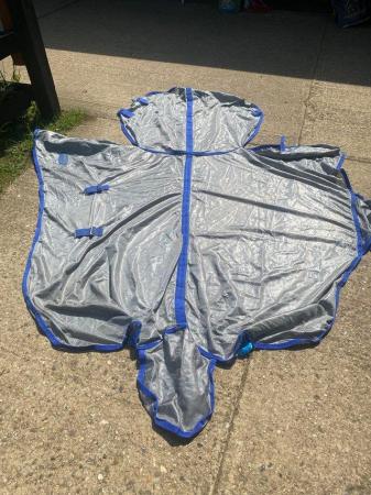 Image 1 of 6’0” Weatherbeeta fly rug with belly