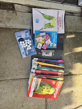 Image 1 of Budgies & LOTS More Including Breeding Accessories.