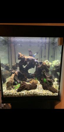 Image 1 of Large fish tank with stand