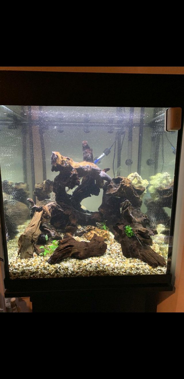 Preview of the first image of Large fish tank with stand.