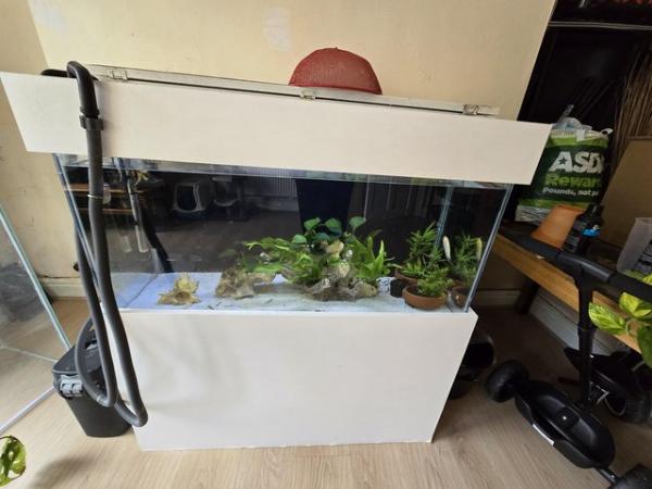 Image 2 of Aquarium fish tank full set up