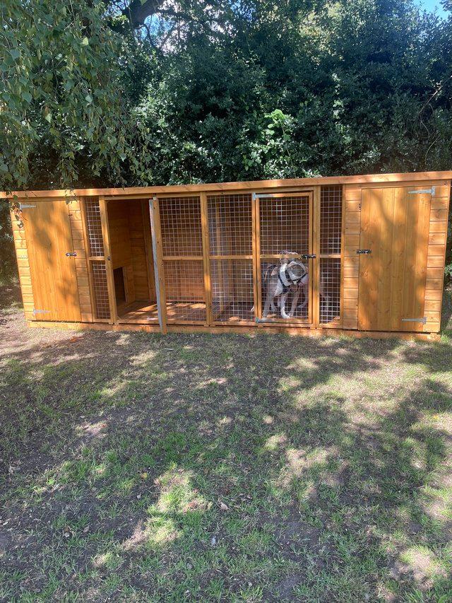 Second hand best sale dog kennels