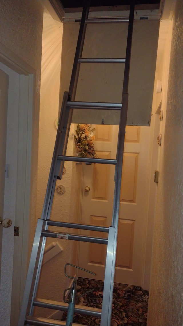 Preview of the first image of 3metre aluminium loft ladders.