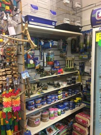 Image 17 of Warrington pets and exotics a fully stocked pet shop/store