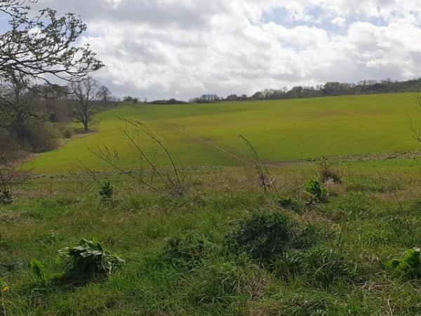 Image 1 of Grazing or stable or sole use field wanted
