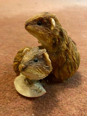 Image 2 of Leonardo and Sherratt & Simpson Guinea Pig models