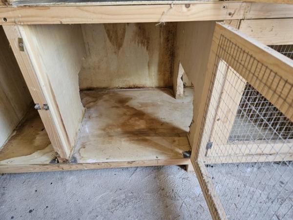 Image 7 of 3 tier rabbit hutch purpose built