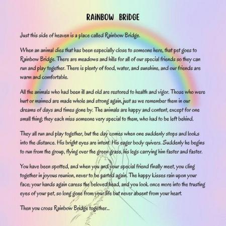 Image 1 of Rainbow Bridge High-Quality Pet Memorial Mug. New In Box