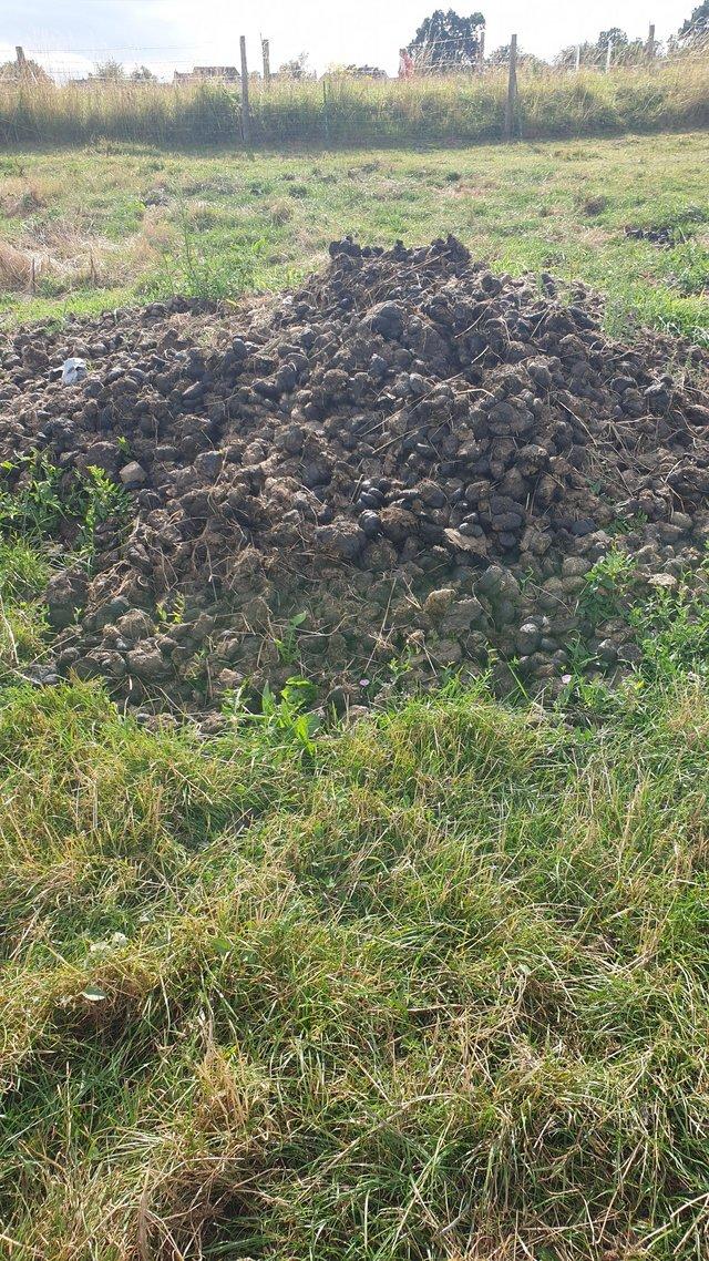 Preview of the first image of Horse manure free to collector farms  gardens allotments.