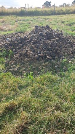 Image 1 of Horse manure free to collector farms  gardens allotments