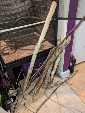 Image 5 of Zoo Med Reptibreeze XL enclosure plus branches and heat lamp