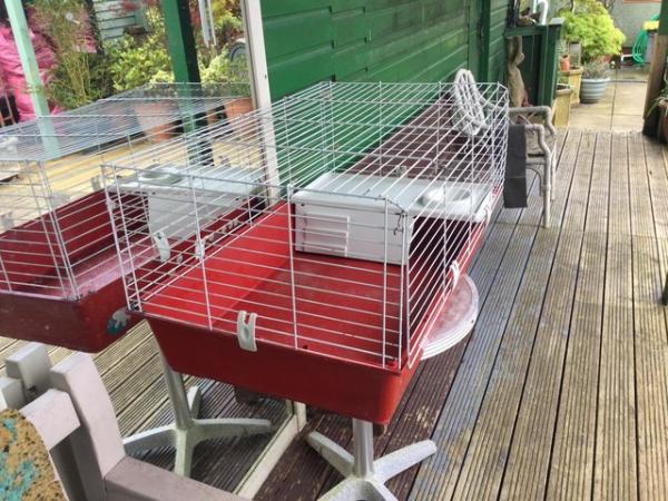 Image 3 of Guinea pig cage for sale.
