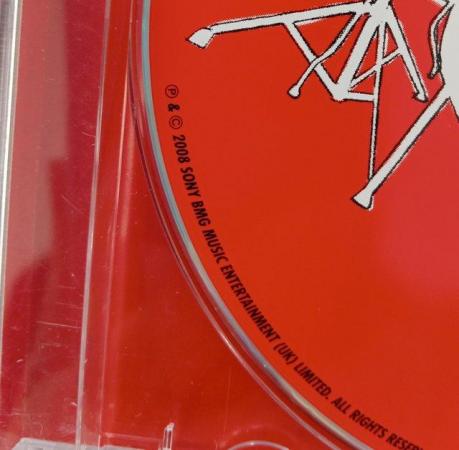 Image 9 of The Ting Tings: We Started Nothing.  2008 single disc album.