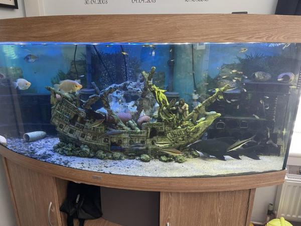 Image 2 of Tropical fish tank shut down