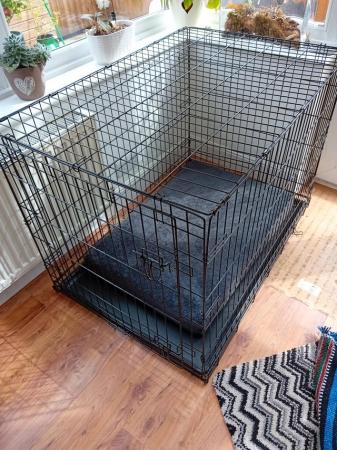Image 4 of Large Dog Cage With Inside Tray