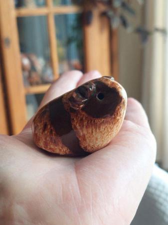 Image 1 of Little cute hand made pot Guinea pigs