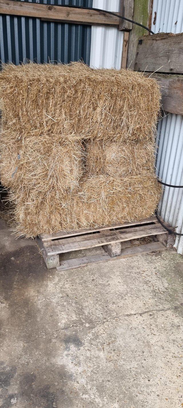 Preview of the first image of 2023 small hay bales for sale.
