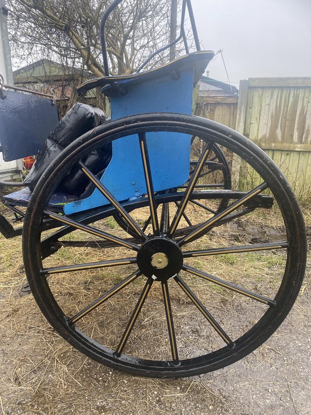 Preview of the first image of Horse carriage make great focal point.