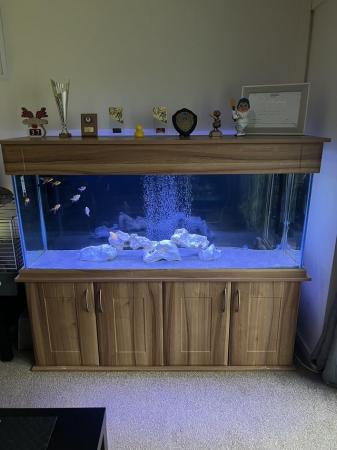 Image 2 of 5ft Fish Tank FULL SETUP! NEED GONE DUE TO HOUSE MOVE!
