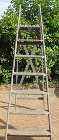 Image 1 of Stepladder with six rungs and platform